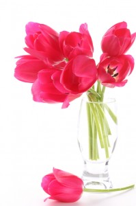 bouquet fleurs tombé