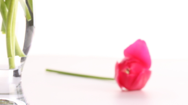 fleur fanée