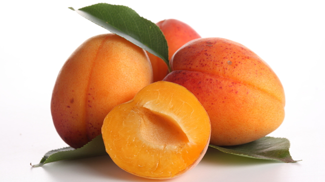 abricots fruits